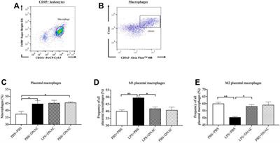 Dendrimer-Based N-Acetyl Cysteine Maternal Therapy Ameliorates Placental Inflammation via Maintenance of M1/M2 Macrophage Recruitment